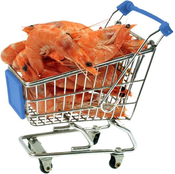 Image of a supermarket trolley with prawns inside